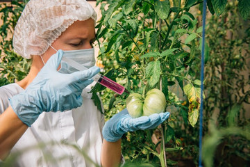 Propiedades organolépticas en alimentos