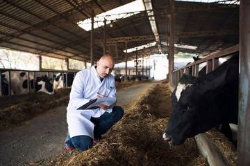 Bicarbonato de sodio para animales de granja