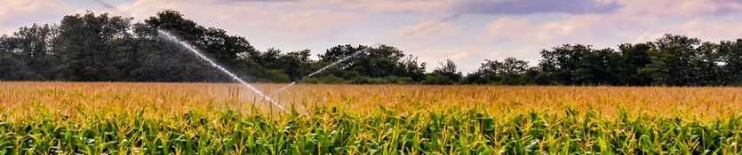Fertilizantes líquidos solubles